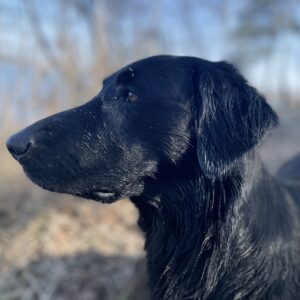 Flat bei Wasserarbeit